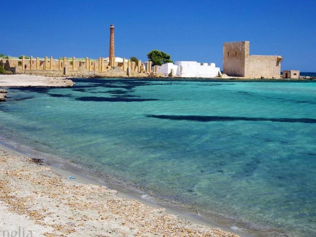 Terreno a Noto in sp 56 - Foto 4