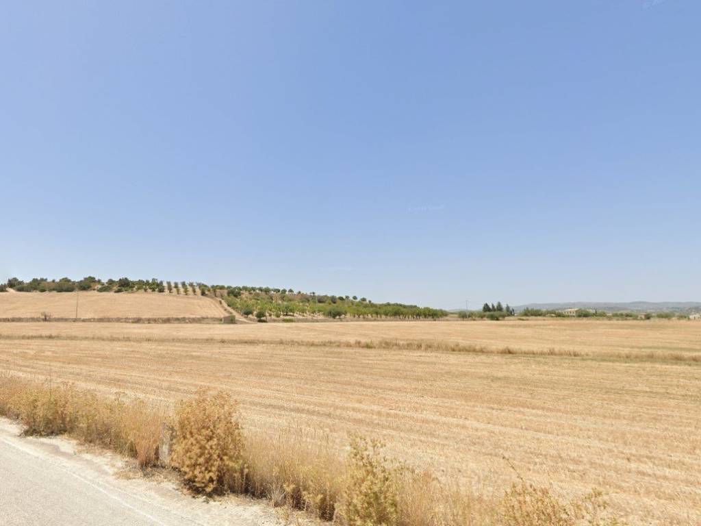 Terreno a Noto in sp 56 - Foto 5