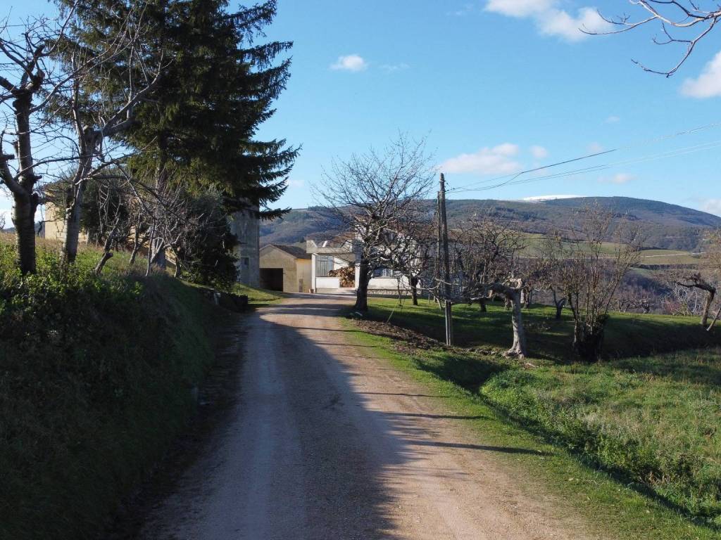 Rustico / casale a Pergola in Frazione Cartoceto - Foto 5