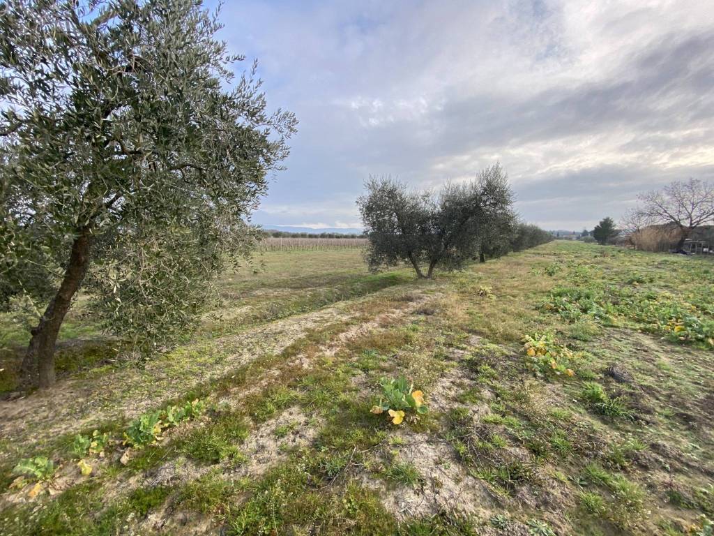Terreno a Castiglione del lago in Località Marchetti - Foto 2
