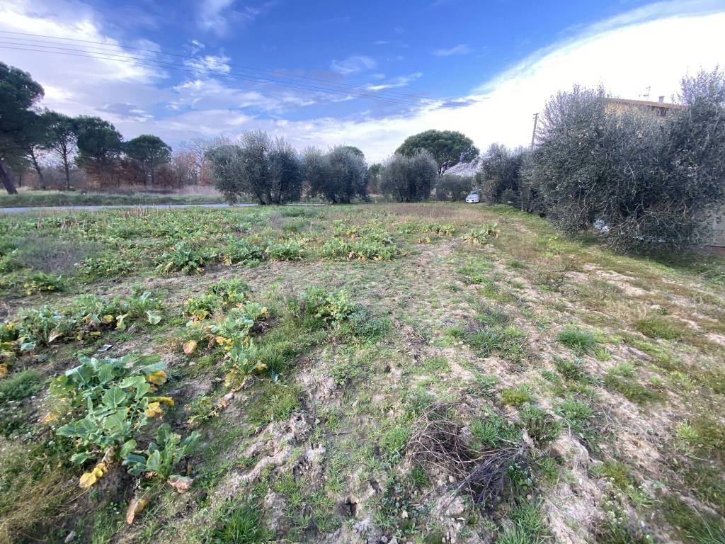 Terreno a Castiglione del lago in Località Marchetti - Foto 3
