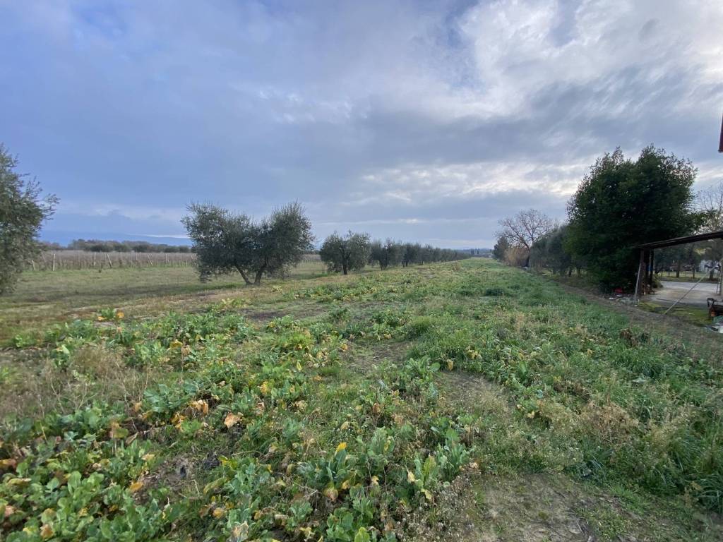 Terreno a Castiglione del lago in Località Marchetti - Foto 4