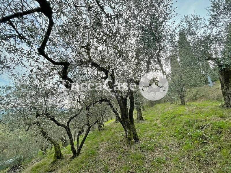 Immobile a Lucca in Via di Villa Fontana, 1851 - Foto 3