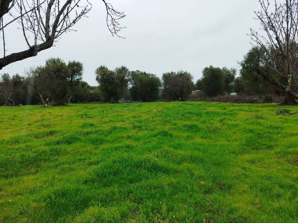 Rustico / casale a Ostuni in Contrada Badessa - Foto 5