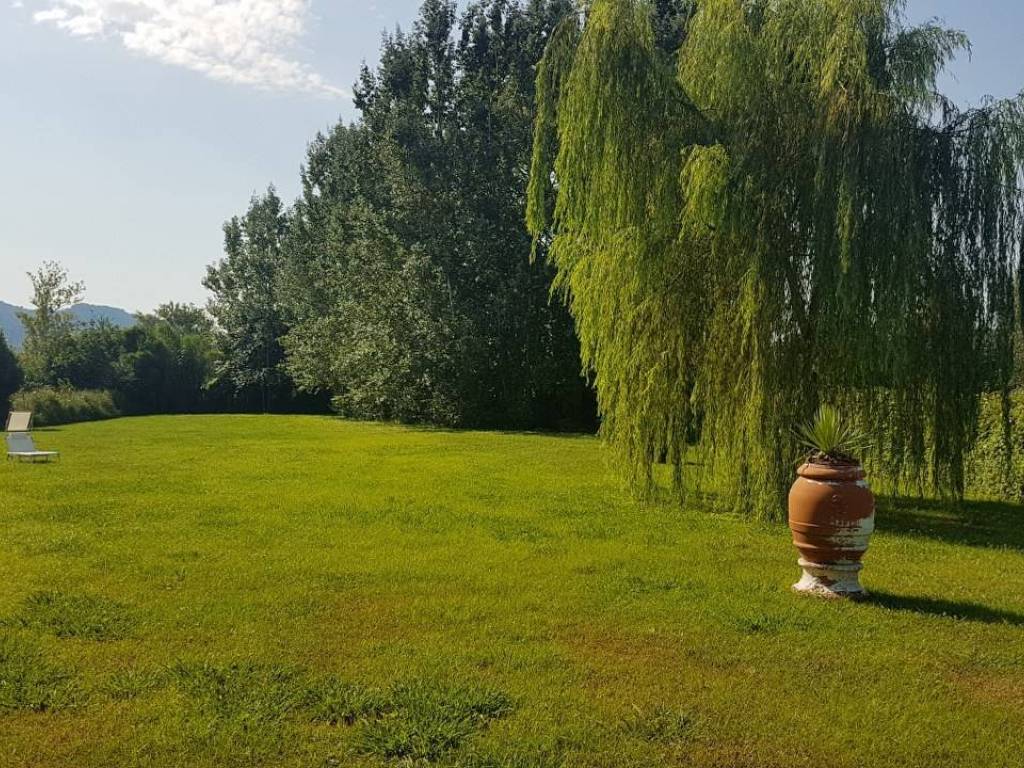 Rustico / casale a Camaiore - Foto 5