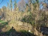 Terreno a Gaeta in Via Sant'Agostino - Foto 5