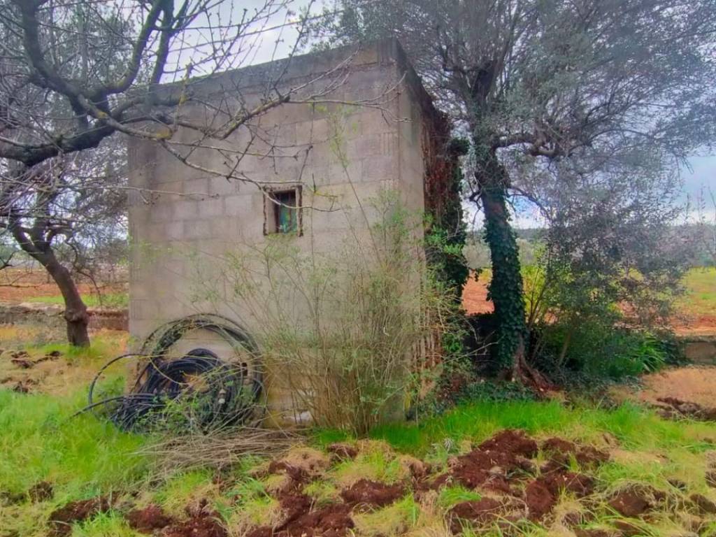 Rustico / casale a Monopoli in Contrada San Gerardo - Foto 2