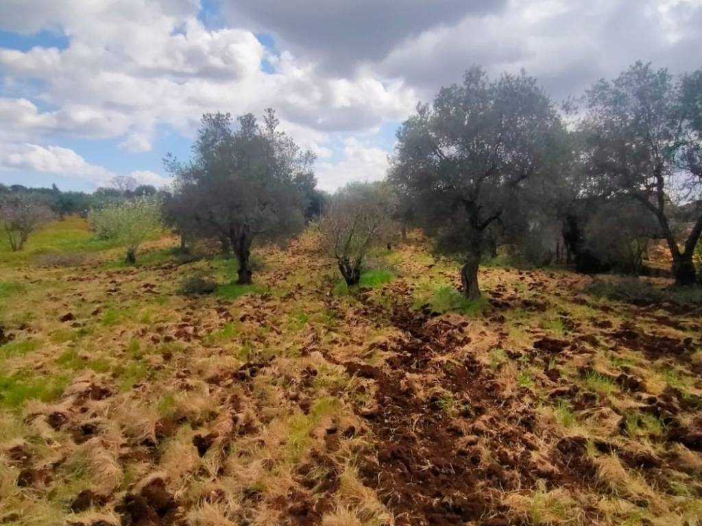 Rustico / casale a Monopoli in Contrada San Gerardo - Foto 4