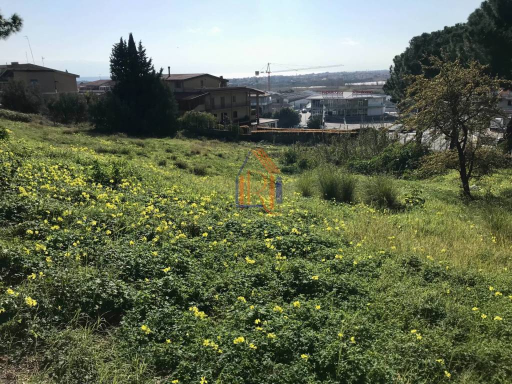 Terreno a Satriano in Via Pasquale Galluppi - Foto 5