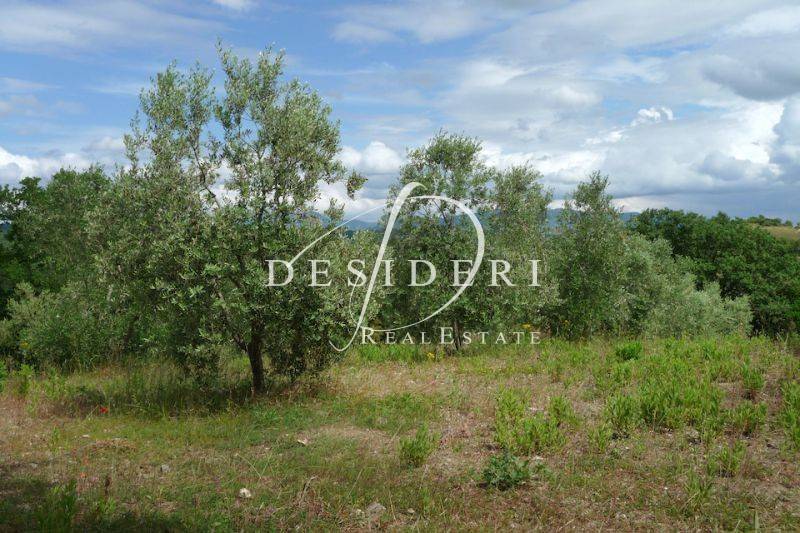 Terreno a Campagnatico in Località Granaione - Foto 2