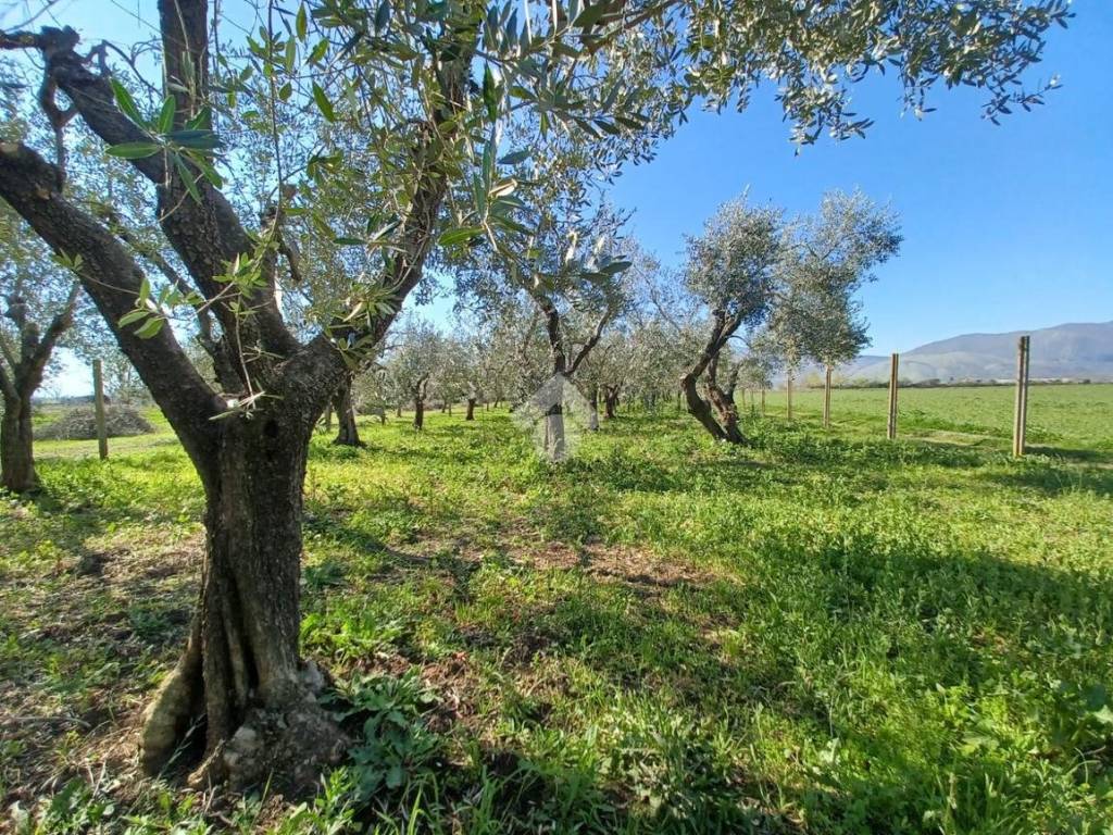 Terreno a Venafro in Via Marco Tulio Cicerone - Foto 2
