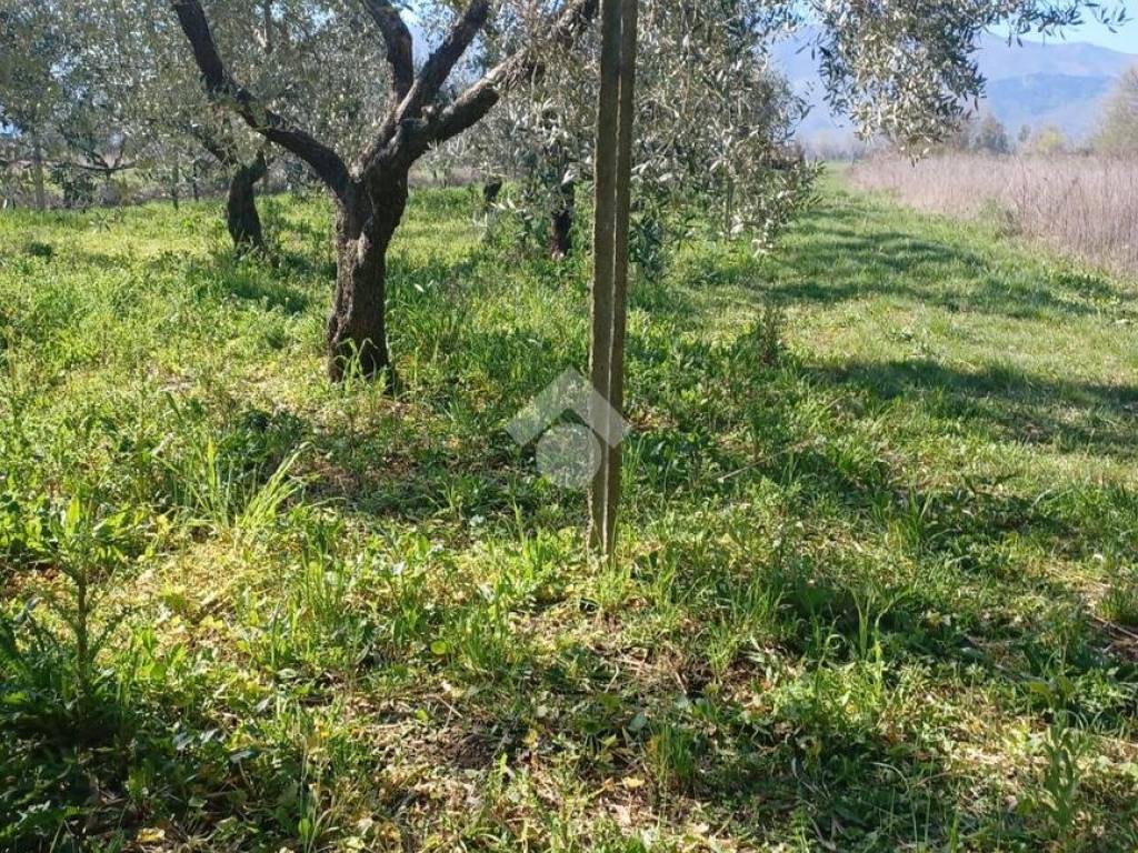 Terreno a Venafro in Via Marco Tulio Cicerone - Foto 3