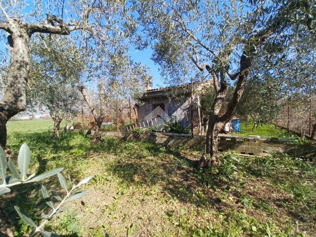 Terreno a Venafro in Via Marco Tulio Cicerone - Foto 5