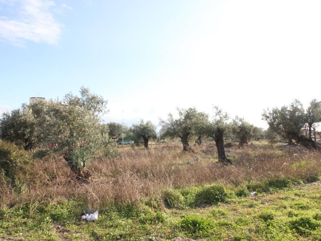 Terreno a Lamezia terme in Via Goffredo Malaterra - Foto 5
