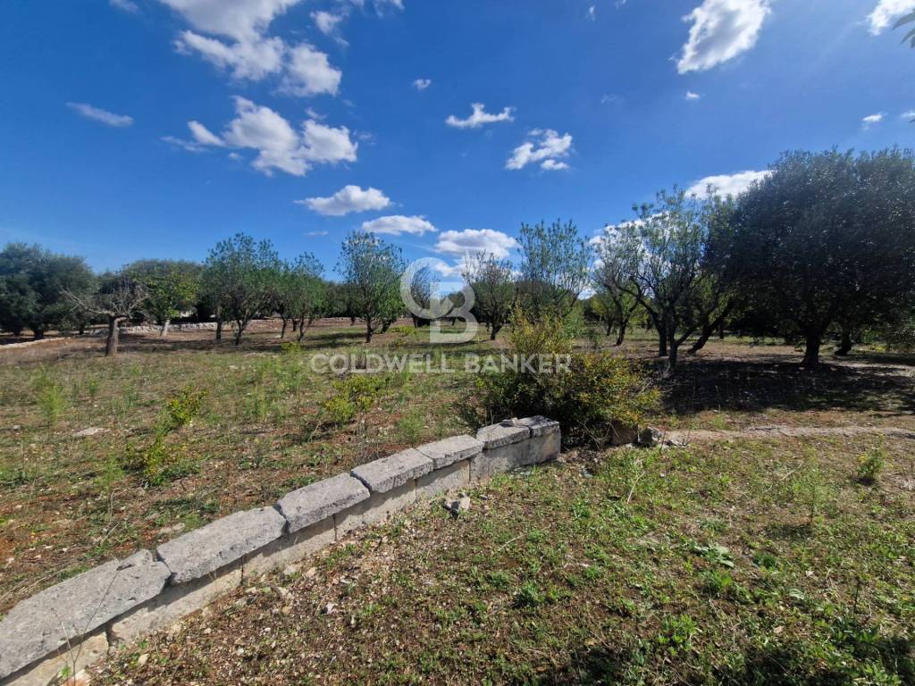 Terreno a Ostuni in Contrada San Benedetto - Foto 3