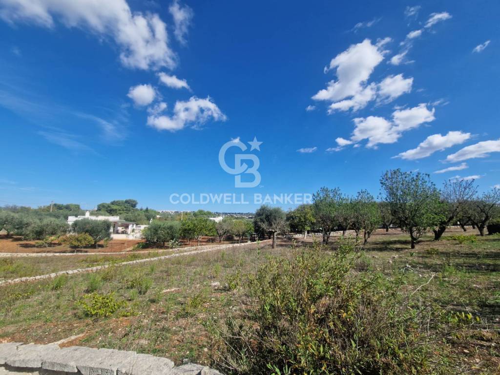 Terreno a Ostuni in Contrada San Benedetto - Foto 4