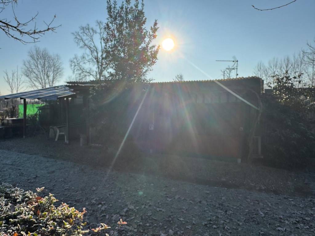 Rustico / casale a Mortara - Foto 4