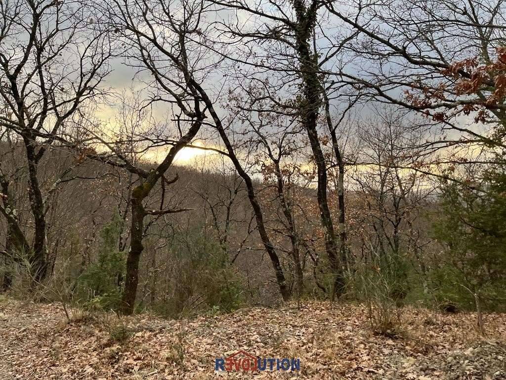 Terreno a Umbertide in Migianella - Foto 3