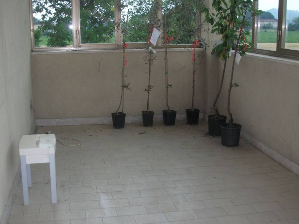 Appartamento a Trecastelli - Foto 4