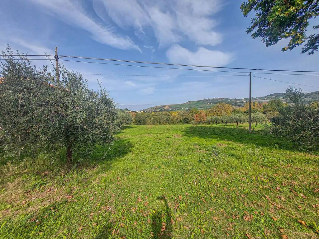 Terreno a Casoli in Contrada Vicenne - Foto 2