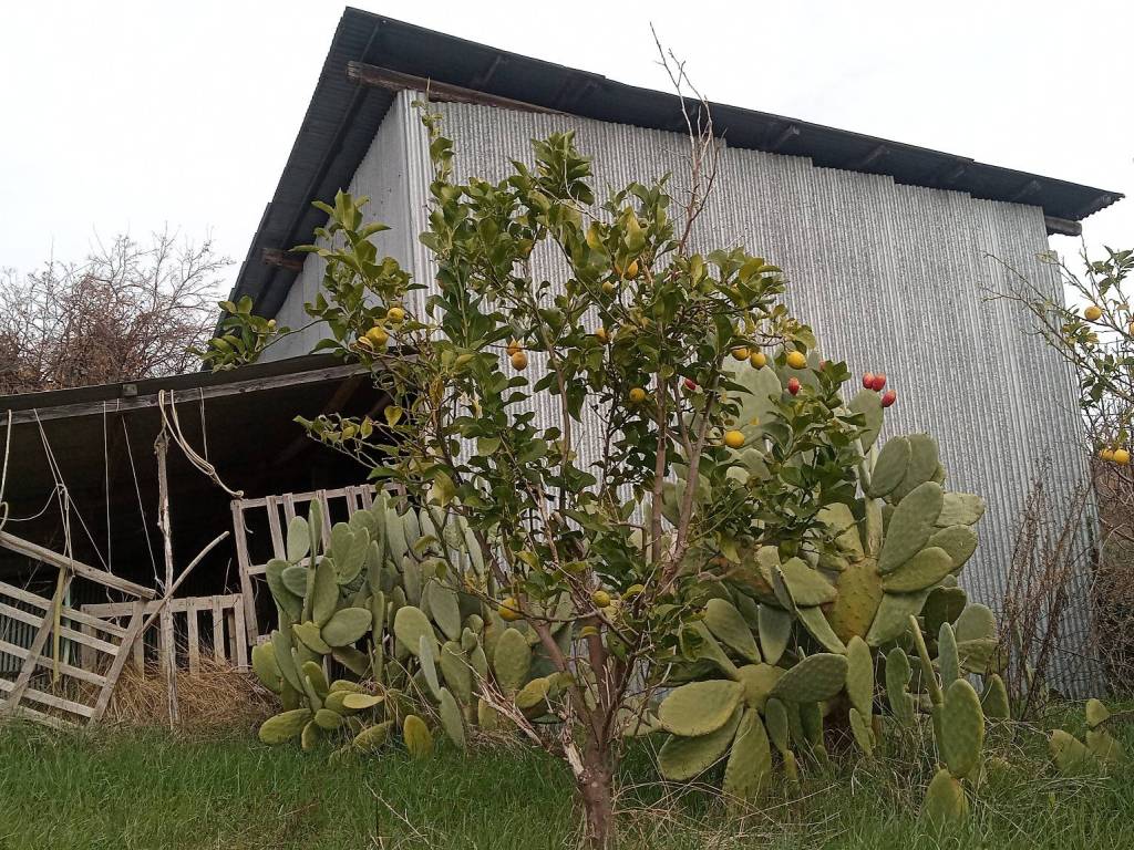 Terreno a Montecosaro in Contrada Fontanelle - Foto 5