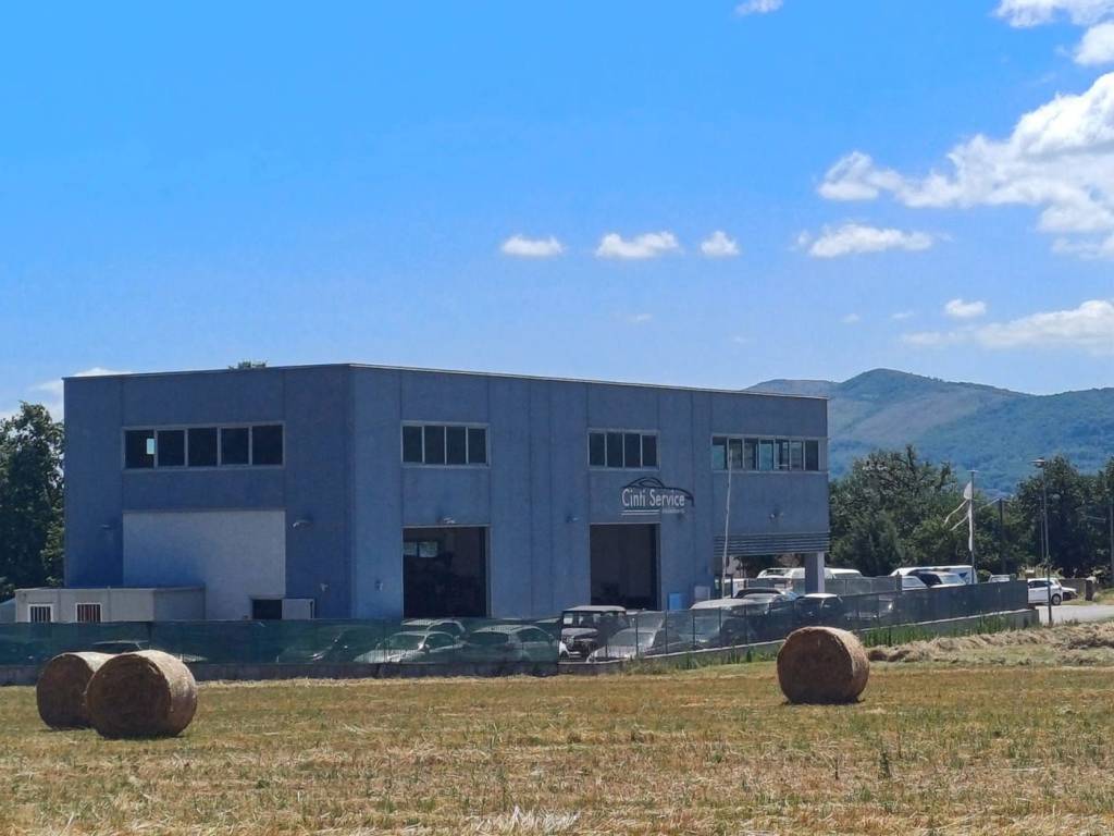 Palazzo / stabile a Ceprano in VIA CARAGNO, 26 - Foto 4