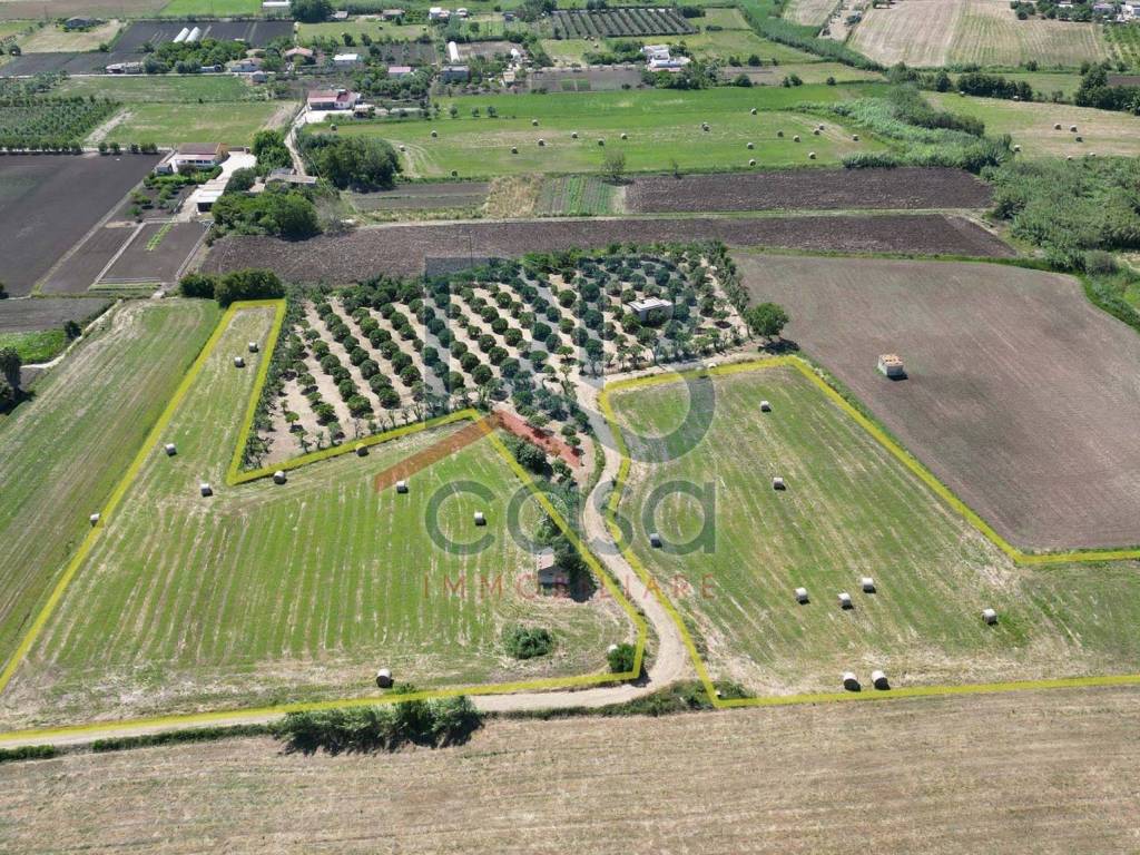 Terreno a Ispica in Contrada Pantano Secco - Foto 3