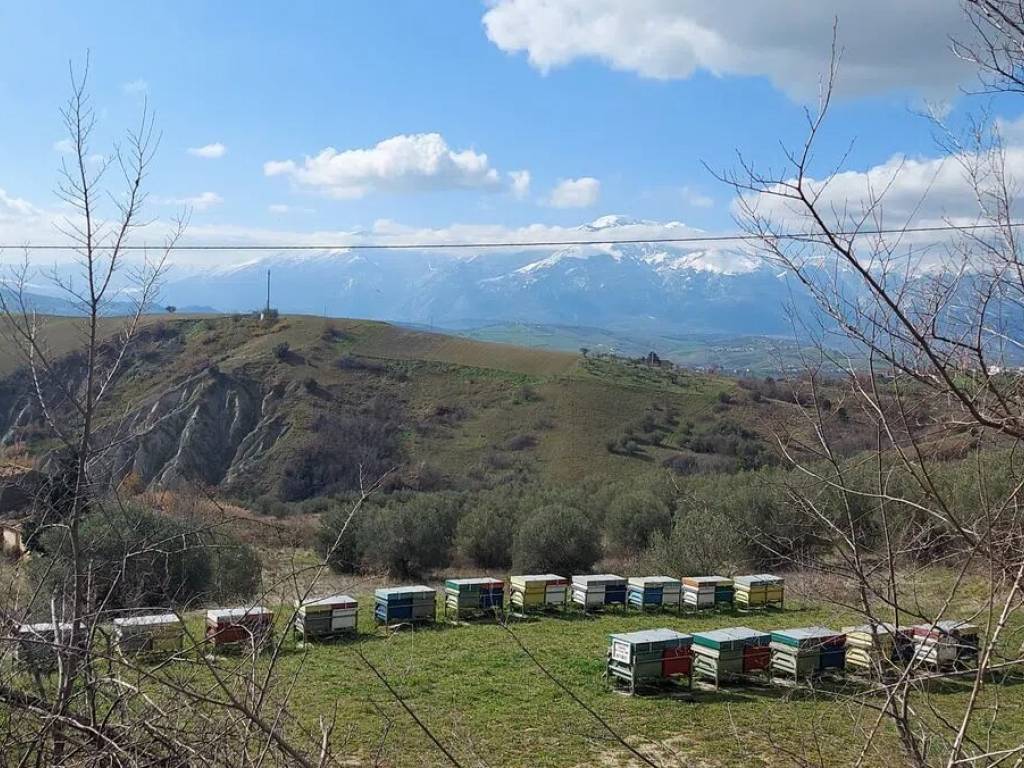 Terreno a Castel frentano in Contrada Vallone Del Lago S.N.C. - Foto 3