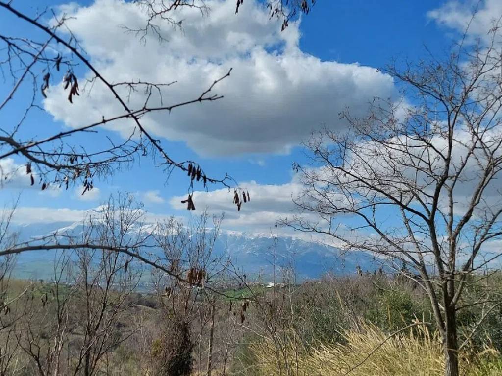 Terreno a Castel frentano in Contrada Vallone Del Lago S.N.C. - Foto 4