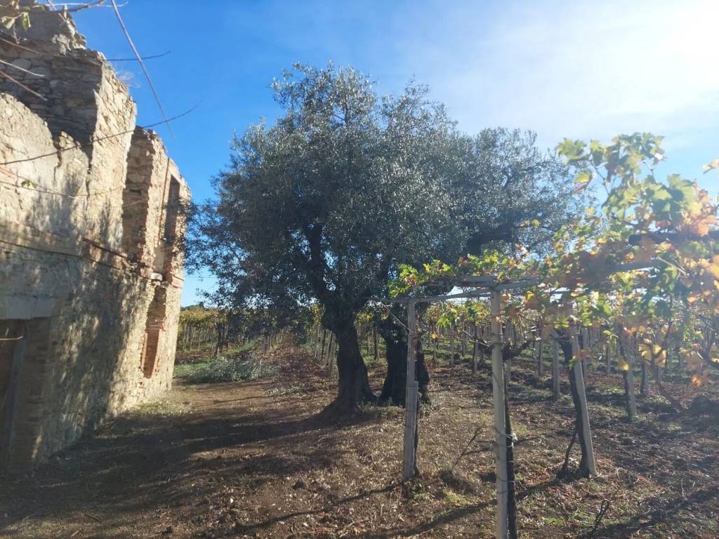 Terreno a Rocca san giovanni in Sterparo Del Garda S.N.C. - Foto 2