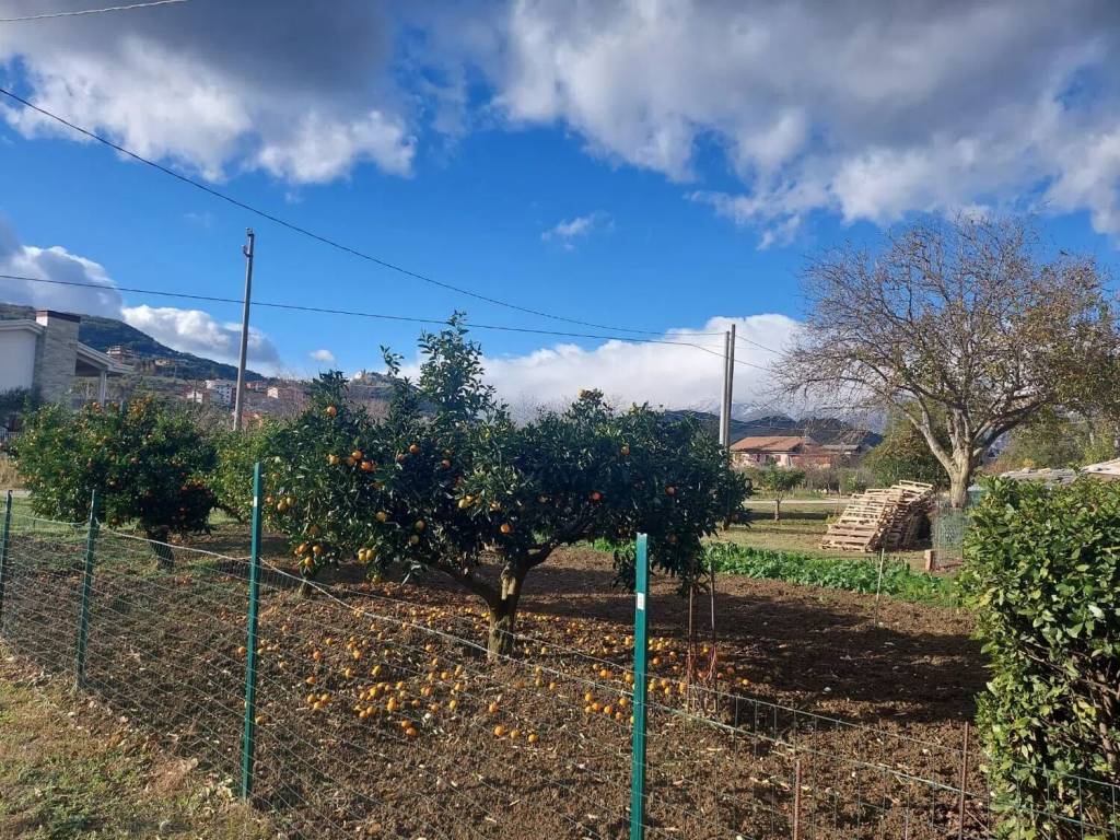Terreno a Altino in Via Benedetto Croce S.N.C. - Foto 2