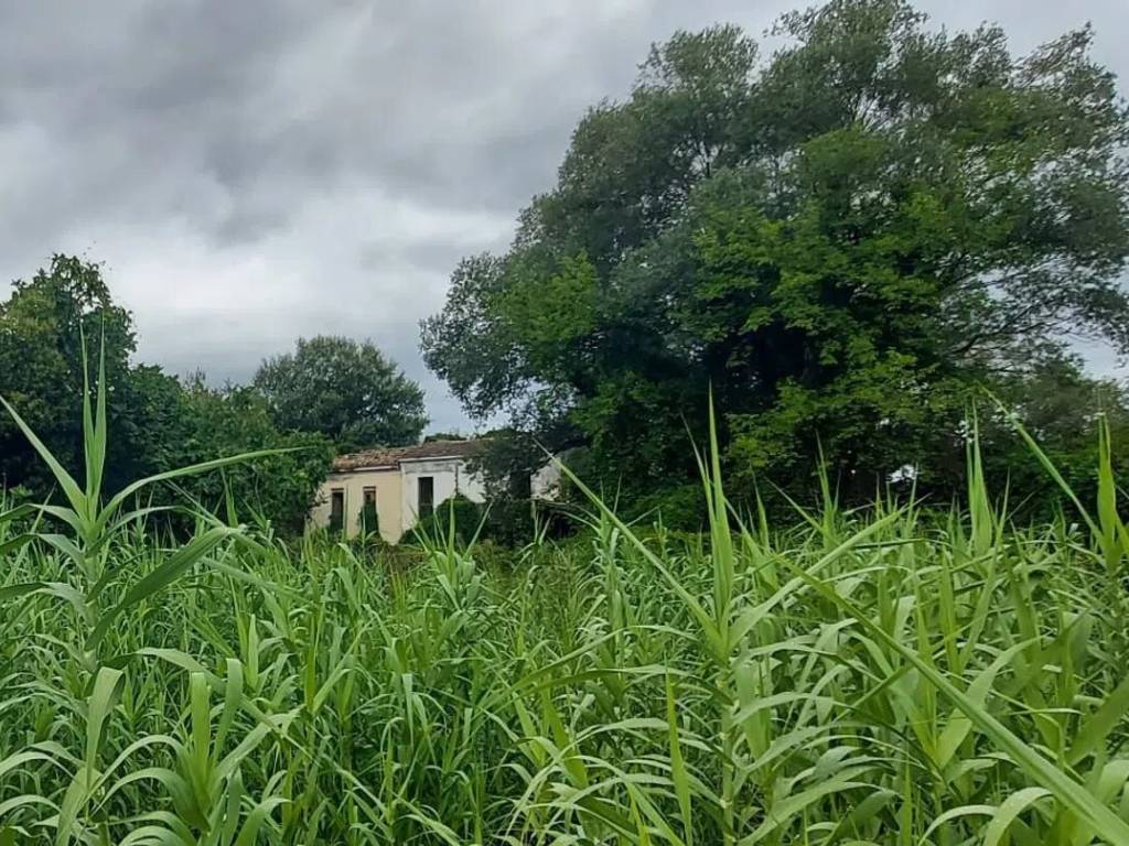Rustico / casale a Casoli in Via Selva Piana, 34 - Foto 2