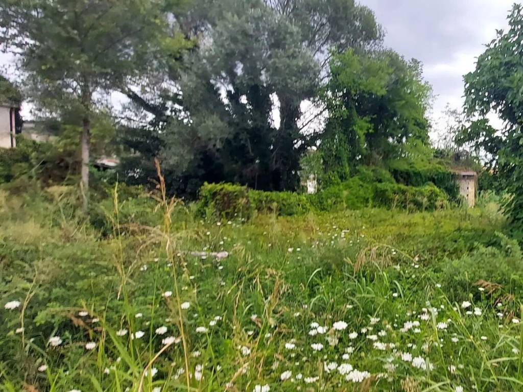 Rustico / casale a Casoli in Via Selva Piana, 34 - Foto 5