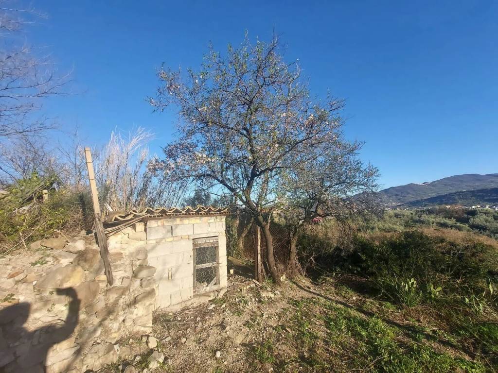 Villa a Casoli in Contrada Guarenna Vecchia - Foto 4