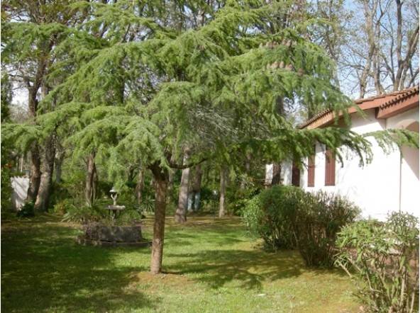 Villa a Sabaudia in Viale delle Querce, 6 - Foto 5