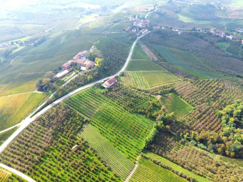 Rustico / casale a Diano d'alba - Foto 2