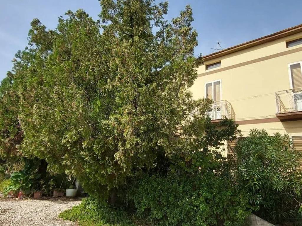 Villa a Atessa in Contrada Colle Martinelli S.N.C. - Foto 2