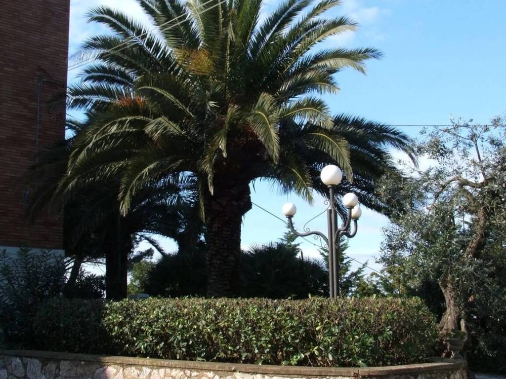 Villa a Piombino in Località Capriola - Foto 5