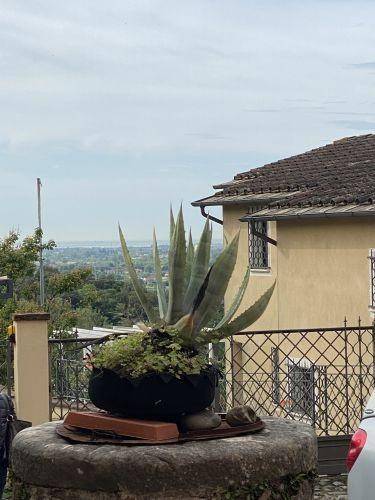Casa indipendente a Sarzana - Foto 2