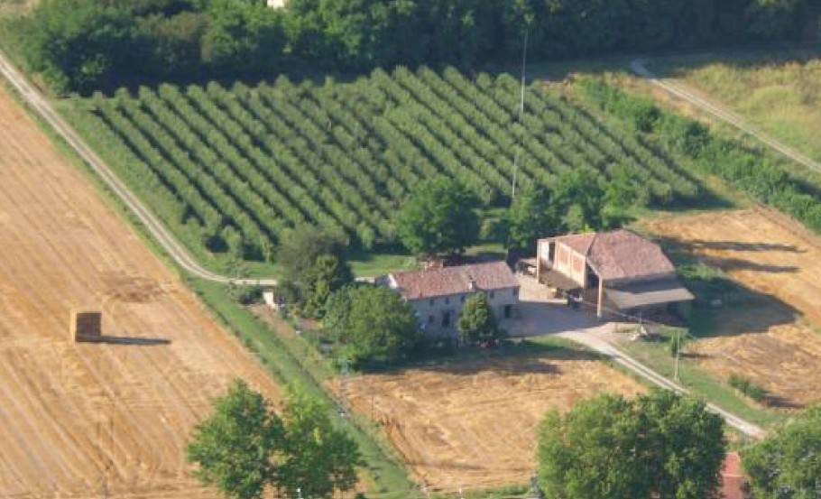 Rustico / casale a Ferrara in Via Bertolda, 139 - Foto 5