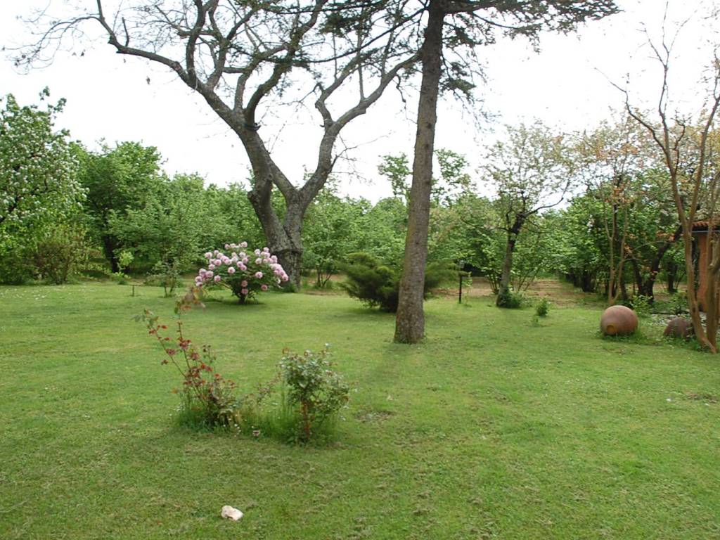 Rustico / casale a Ronciglione in Strada Cassiere - Foto 4