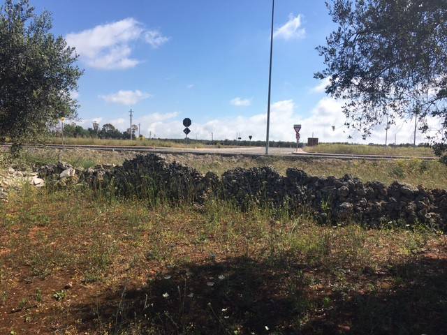 Terreno a Andrano - Foto 4