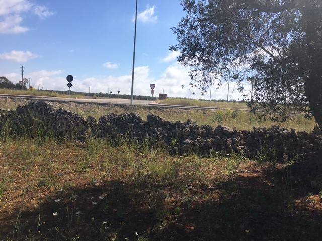 Terreno a Andrano - Foto 5