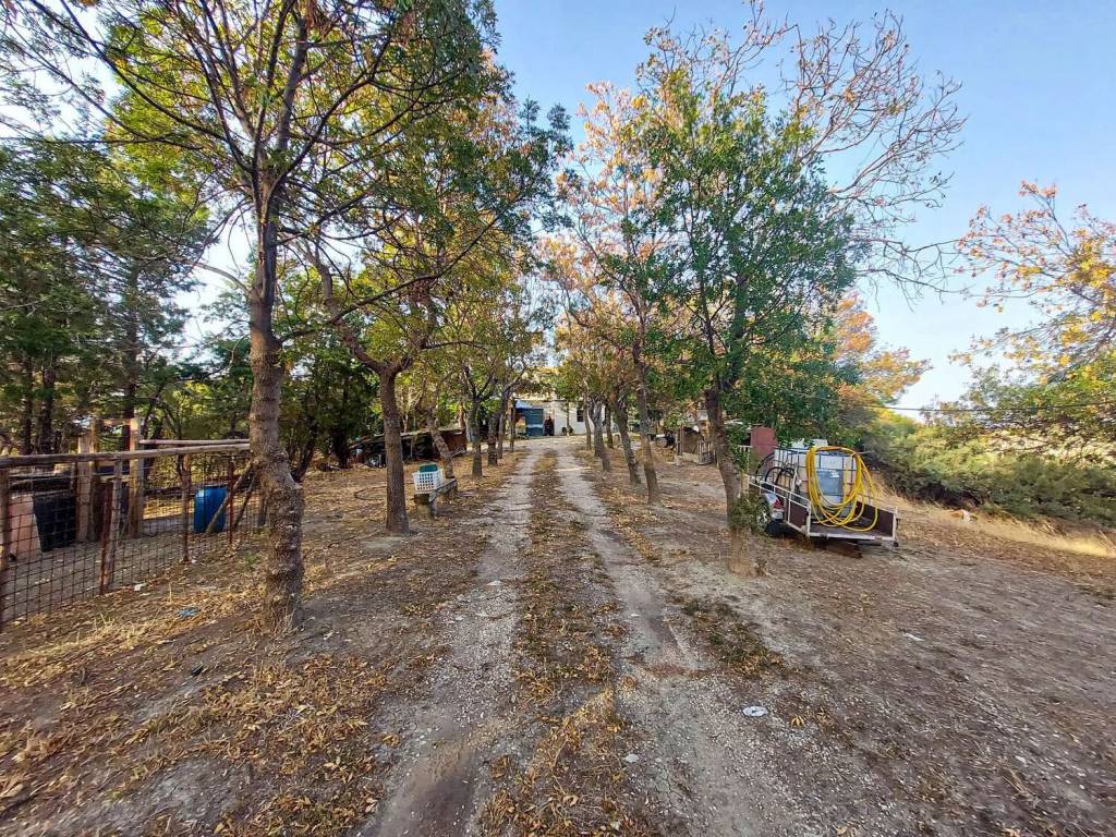 Rustico / casale a Atessa in Prov - Foto 3