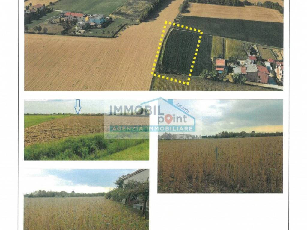 Terreno a Selvazzano dentro - Foto 4