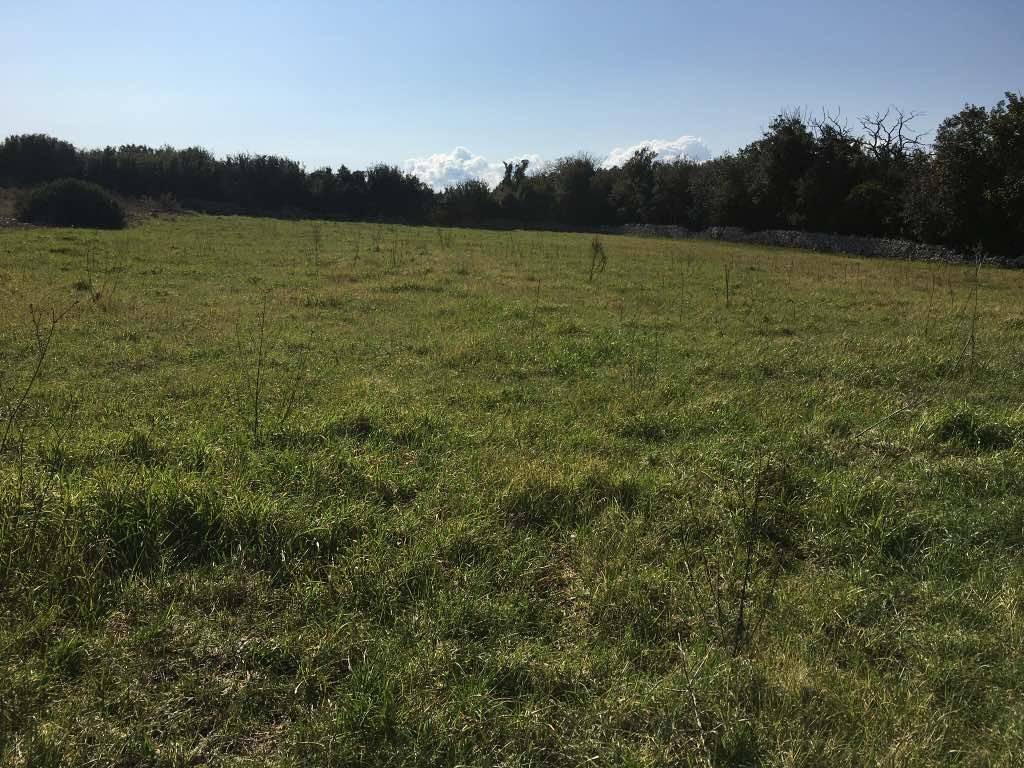 Terreno a Andrano - Foto 2