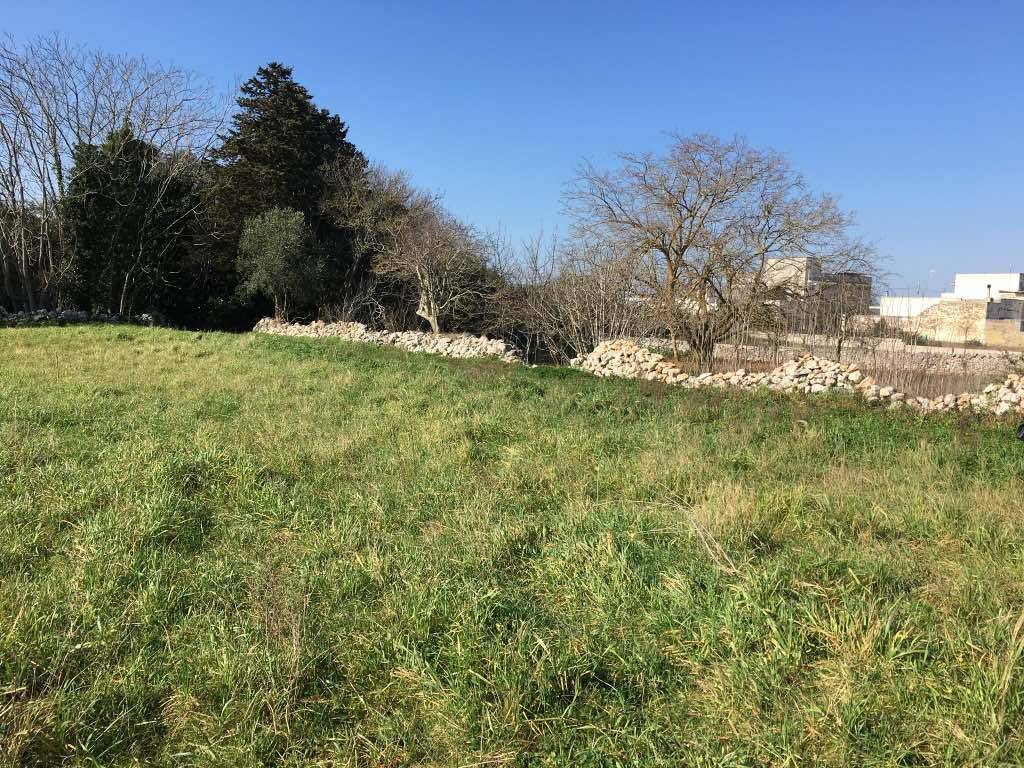 Terreno a Andrano - Foto 4