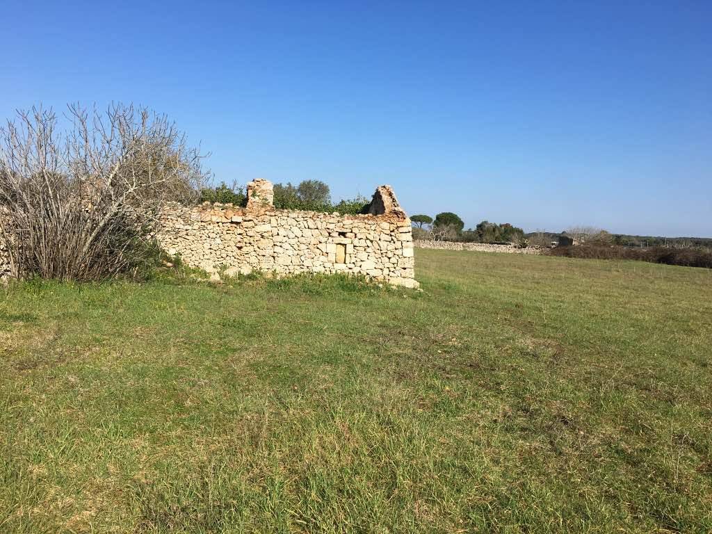 Terreno a Andrano in Contrada Vignicella - Foto 4