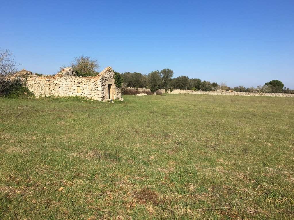 Terreno a Andrano in Contrada Vignicella - Foto 5