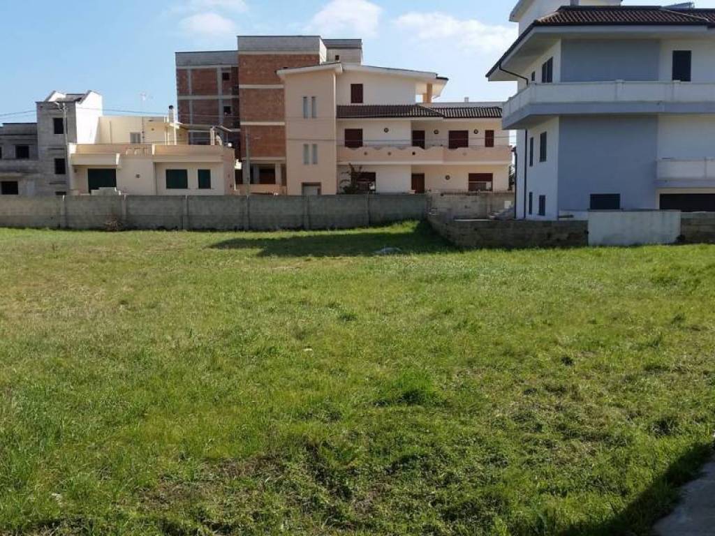 Terreno a Alessano - Foto 3